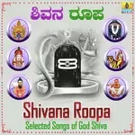 Lingastakam (From &quot;Shiva Sthuthi&quot;)-cover
