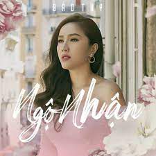 Ngộ Nhận-cover