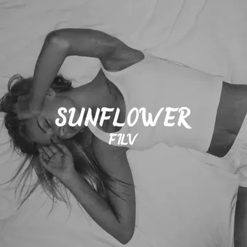 Sunflower (feat. PANE)-cover