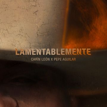 Lamentablemente-cover