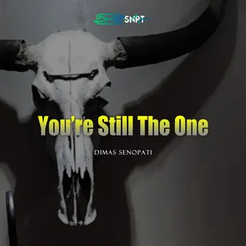 Your Still The One (Acoustic)