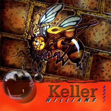 Buzz Buzz Buzz
