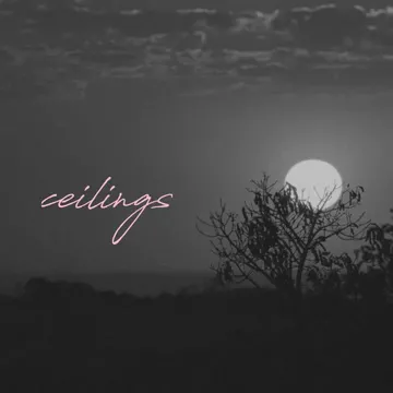 coveImg