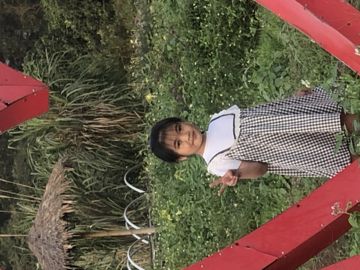 Học Cách Đi Một Mình(tuyết minh)