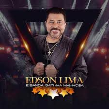 Amor a moda Antiga-cover