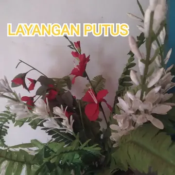 coveImg
