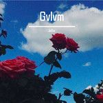 Gvlvm-cover