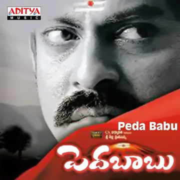 Navvavayya Babu-cover