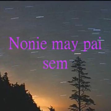 Noni mebi sem-cover