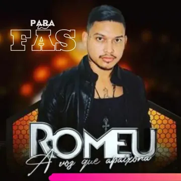 Não Vivo Sem Você-cover