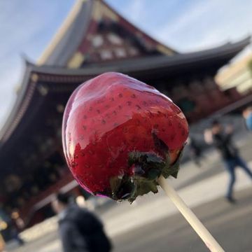 月光传说