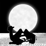 骆驼-cover