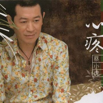 心疼-cover