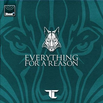 Everything For A Reason-cover