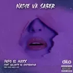 NADIE VA SABER-cover