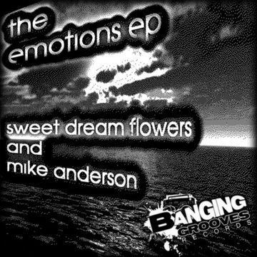 Sweet Flower-cover