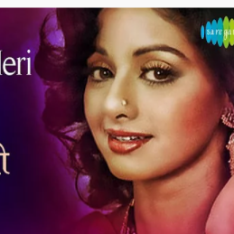 Chandni O Meri Chandni（Short ）-cover