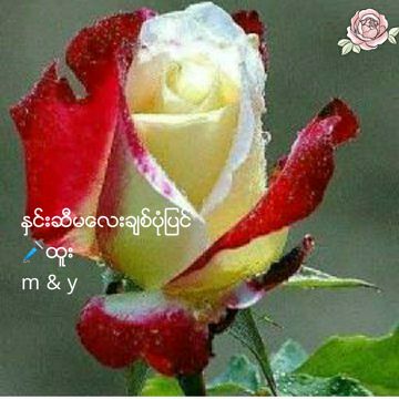 coveImg