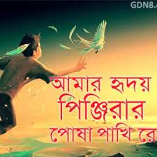 তুমি কার পোষা পাখি-cover