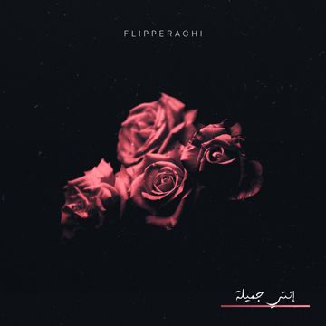 Enty Jameela - Flipperachi-cover