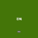 蒼蠅-cover