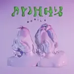 Common Future-cover