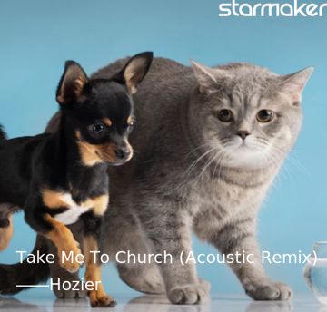 Take Me To Church (Acoustic Remix)-cover