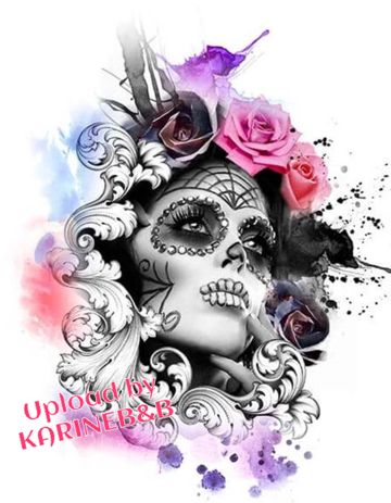 CASSO-cover