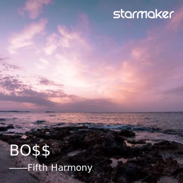 BO$$-cover