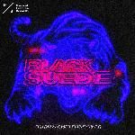 Black Suede-cover