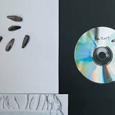Koffer-cover