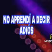No aprendi a decir Adios-cover