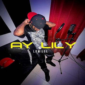 AY LILY-cover