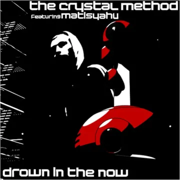 Drown in the Now-cover