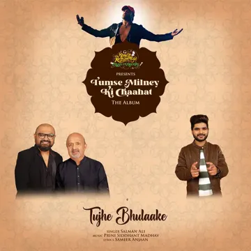 Tujhe Bhulaake-cover