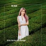 Dj Kau Lihat Aku Disini Menunggu-cover