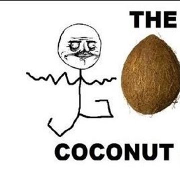 The Coconut Song-cover