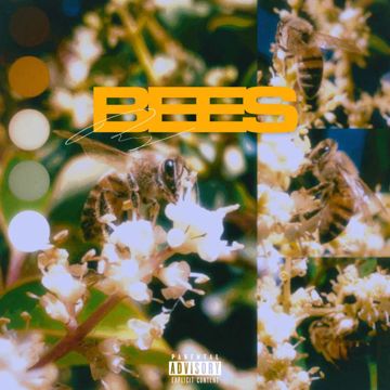 Bees-cover
