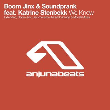 We Know(Extended Mix)-cover