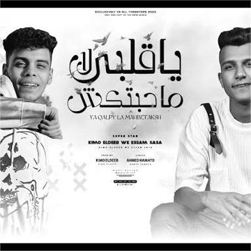 يا قلبي لا محبتكش-cover