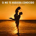 Si Antes Te Hubiera Conocido-cover