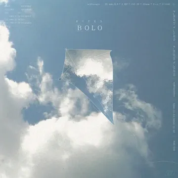 Kites-cover