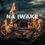Na Iwake (Remix)-cover
