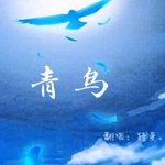 青鸟(中文版)-cover