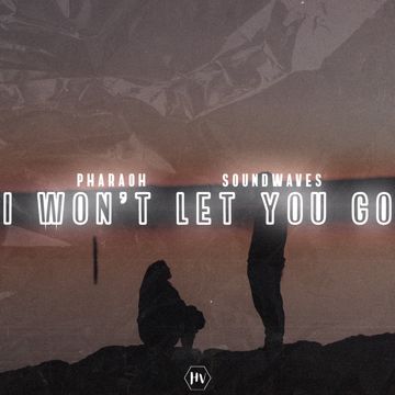 I Won't Let You Go-cover