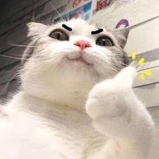 coveImg
