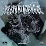 伞-cover