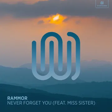 Never Forget You-cover