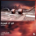 Pump It Up(Original Mix)(Remix)