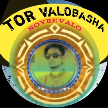 তোর ভালোবাসা নয়রে ভালো-cover